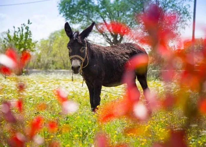 Silence With Pool Near Krka National Park Villa Ljubotic